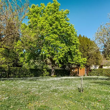 Au Grand Neuvic (Dordogne)